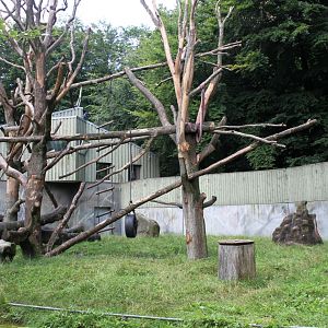 Aalborg Zoo - Chimpanzee exhibit
