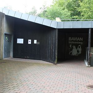Aalborg Zoo - Baboon House