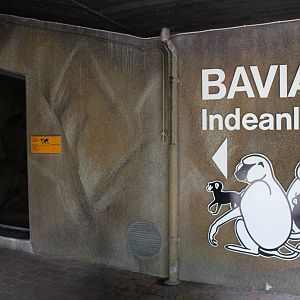 Aalborg Zoo - Baboon House