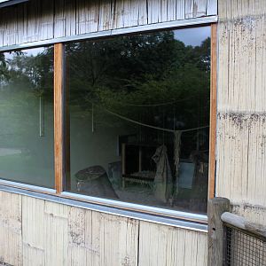 Aalborg Zoo - Lemur exhibit