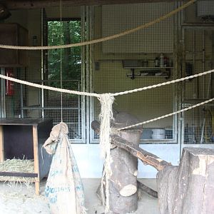 Aalborg Zoo - Lemur exhibit