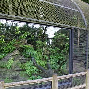 Aalborg Zoo - Lemur exhibit