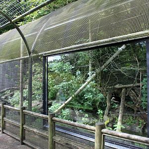 Aalborg Zoo - Lemur exhibit