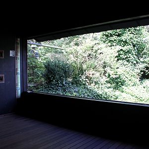 Aalborg Zoo - Panorama Aviary