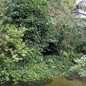 Aalborg Zoo - Panorama Aviary