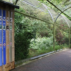 Aalborg Zoo - Panorama Aviary