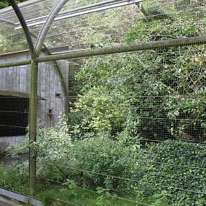 Aalborg Zoo - Panorama Aviary