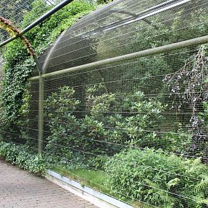 Aalborg Zoo - Panorama Aviary