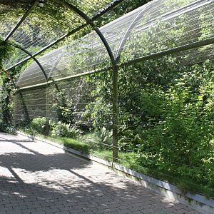 Aalborg Zoo - Panorama Aviary
