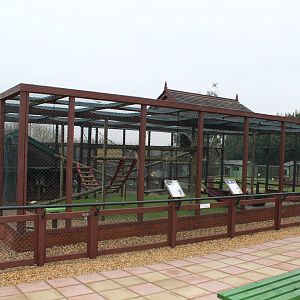 Isle of Wight Owl and Monkey Haven