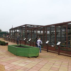 Isle of Wight Owl and Monkey Haven