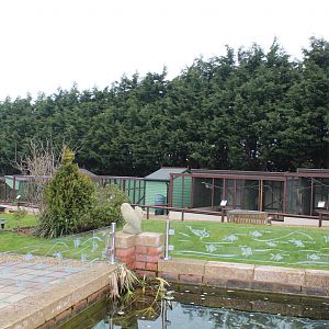 Isle of Wight Owl and Monkey Haven