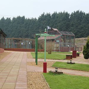 Isle of Wight Owl and Monkey Haven