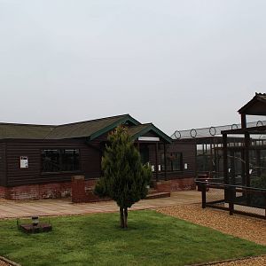 Isle of Wight Owl and Monkey Haven