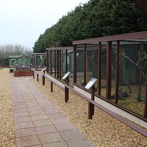 Isle of Wight Owl and Monkey Haven