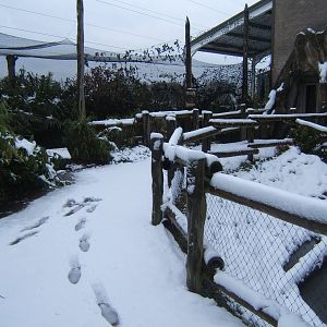 View of the path to the Elephant House