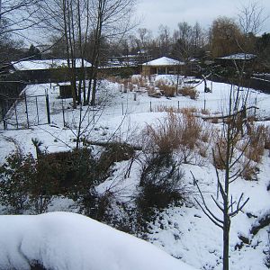 View of Cheetah enclosure