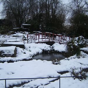 View of Oriental garden