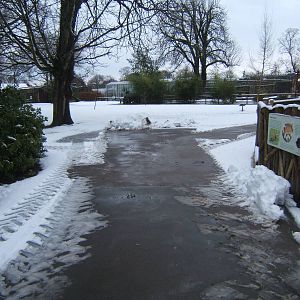 View towards off-show Parrot complex