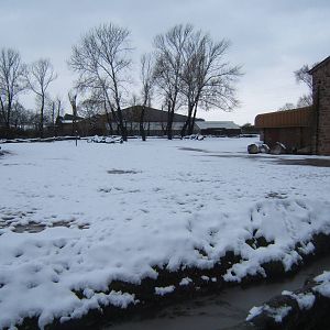 View of Giraffe paddock