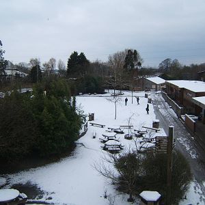 View from top of Realm of the Red Ape ramp