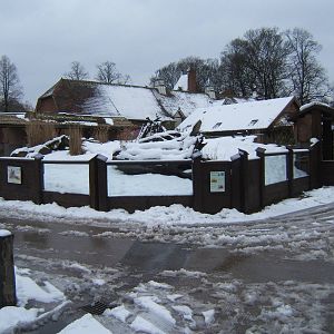 View of Dwarf Mongoose exhibit