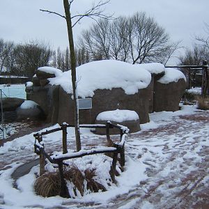 View towards Hunting Dogs