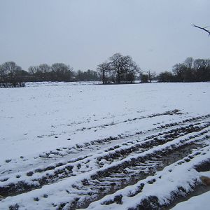 View of the site for Islands
