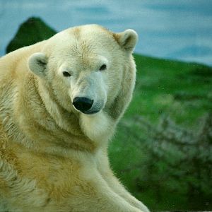 Mandy 29th January 2000