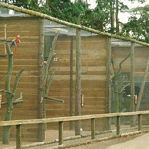 Remodelled Parrot aviaries 26th February 2000