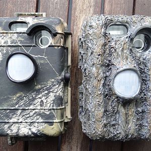 Motion sensor cameras