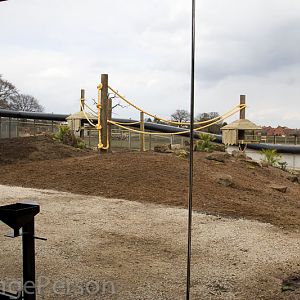 New baboon enclosure