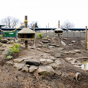New baboon enclosure