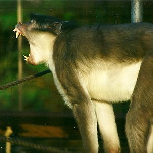 Joe 15th January 2000