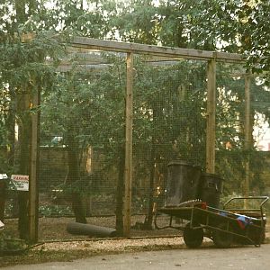 New Owl aviary 26th February 2000