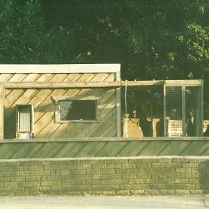 Where the primate cage had been 26th February 2000