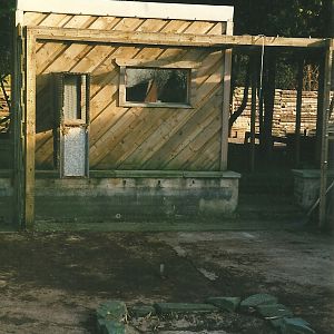 Where the primate cage had been 26th February 2000