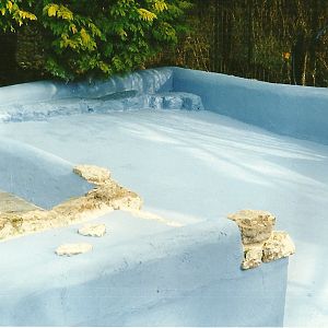 Freshly painted Penguin Pool 11th March 2000