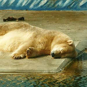 Mandy 1st April 2000