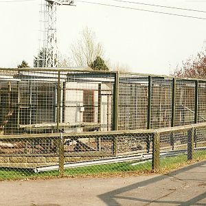 About to be demolished Primate Block 1st April 2000
