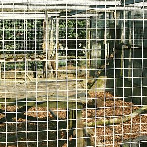 About to be demolished Primate Block 1st April 2000