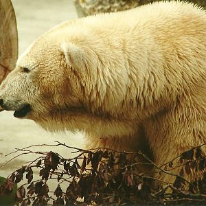 Mandy 29th April 2000