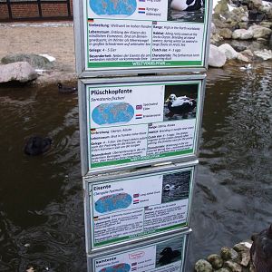 Signage Example at Walsrode, 22/03/13