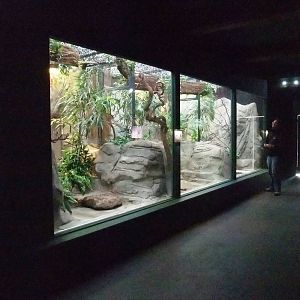 Hummingbird Enclosures at Walsrode, 22/03/13