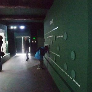 Kiwi Enclosure at Walsrode, 22/03/13