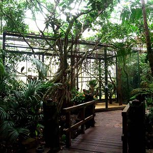 Storm's Stork Aviary at Walsrode, 22/03/13