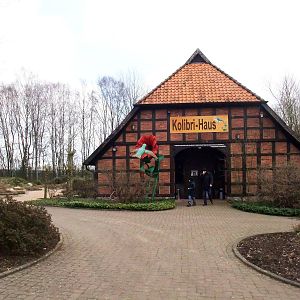 Hummingbird House at Walsrode, 22/03/13