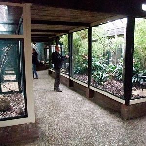 Lory House at Walsrode, 22/03/13