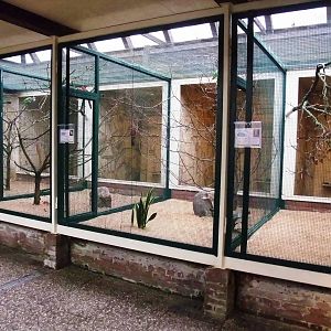 Lory House at Walsrode, 22/03/13