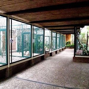 Lory House at Walsrode, 22/03/13